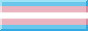the trans pride flag.